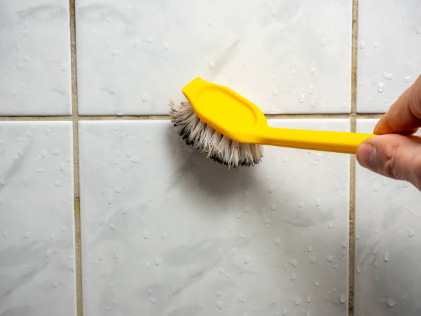 Best Mold Removal Near Me  in Mckee City, NJ